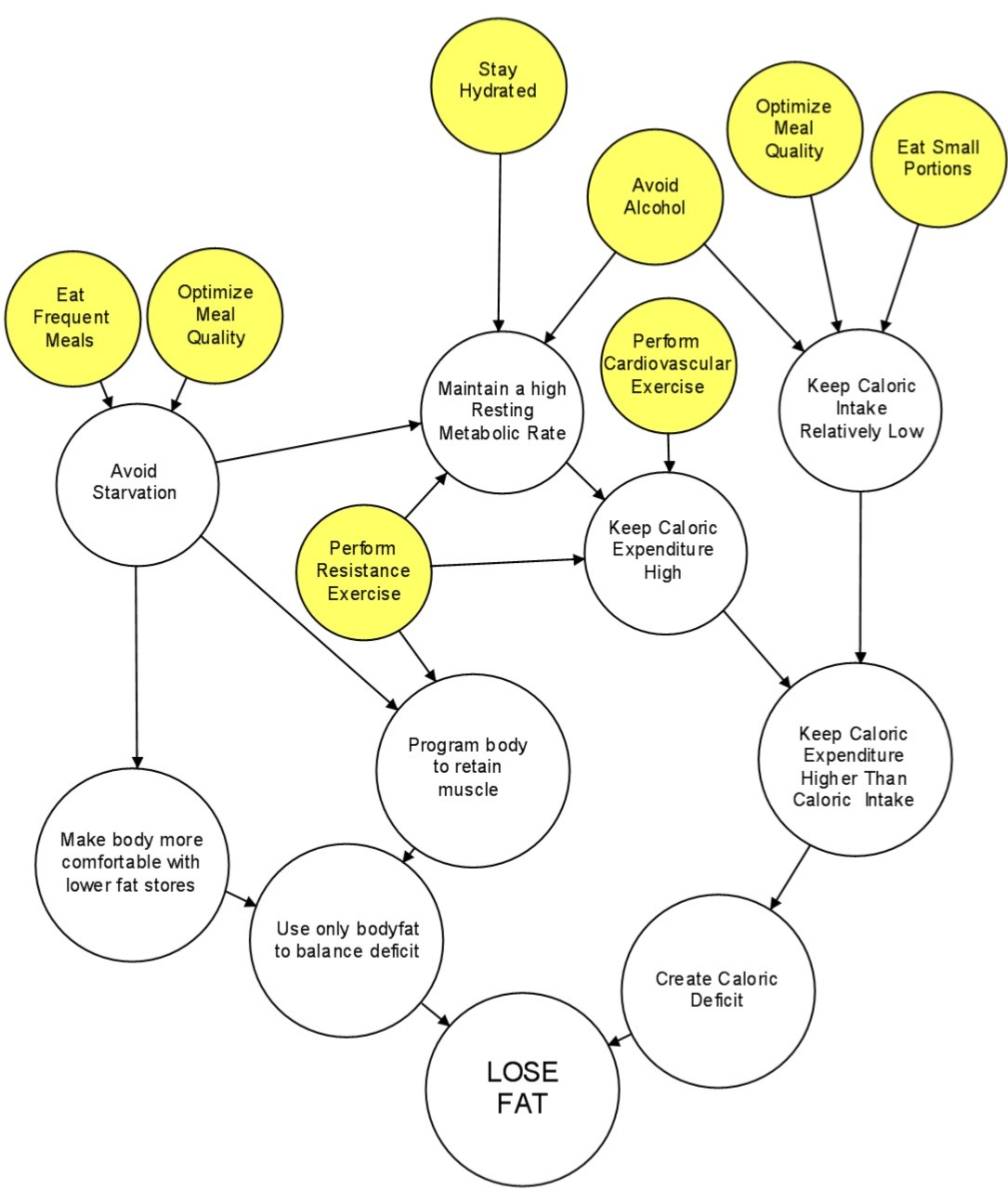 Chart Showing Actions Needed For Fat Loss